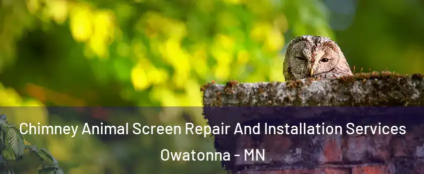  Chimney Animal Screen Repair And Installation Services Owatonna - MN
