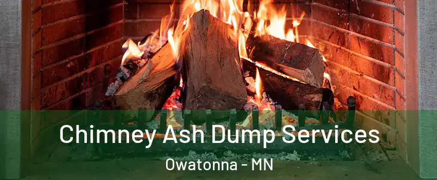  Chimney Ash Dump Services Owatonna - MN