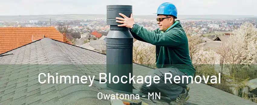  Chimney Blockage Removal Owatonna - MN