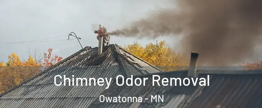  Chimney Odor Removal Owatonna - MN