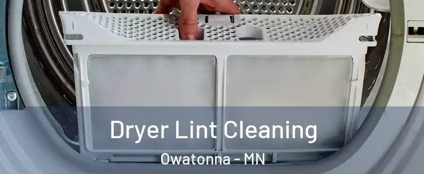  Dryer Lint Cleaning Owatonna - MN