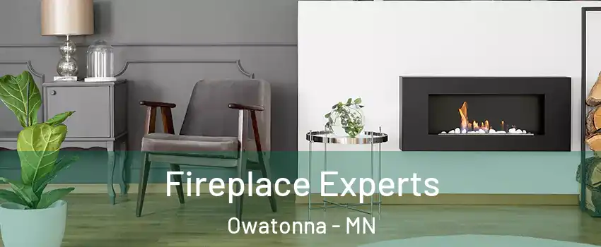  Fireplace Experts Owatonna - MN