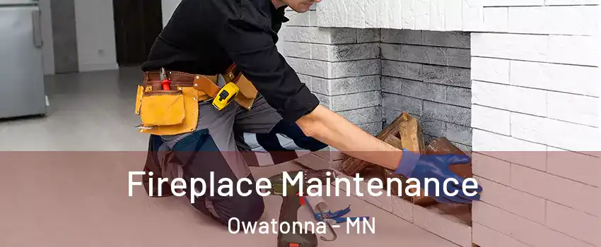  Fireplace Maintenance Owatonna - MN