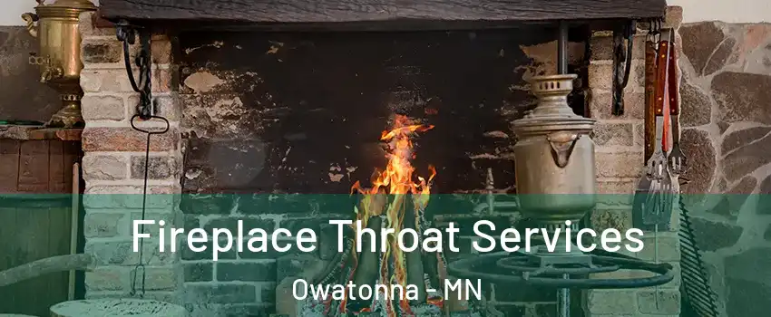  Fireplace Throat Services Owatonna - MN