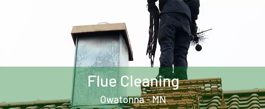  Flue Cleaning Owatonna - MN