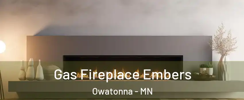  Gas Fireplace Embers Owatonna - MN