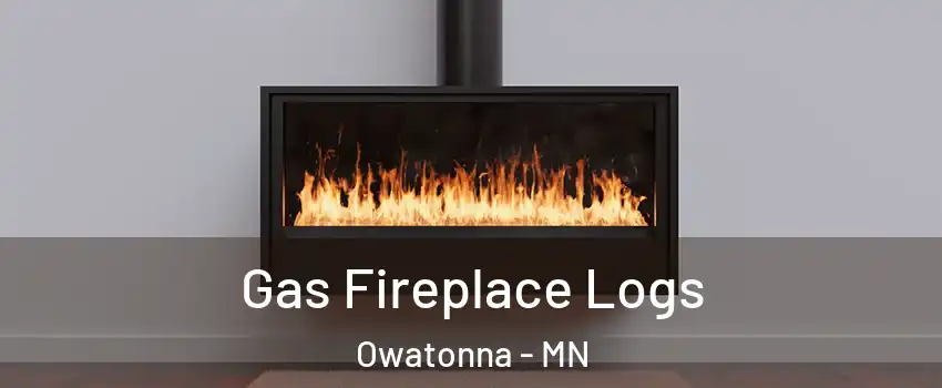  Gas Fireplace Logs Owatonna - MN