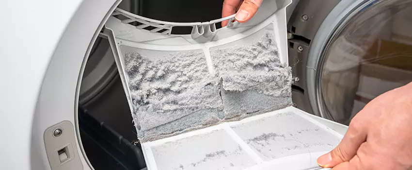 Best Dryer Lint Removal Company in Owatonna, Minnesota