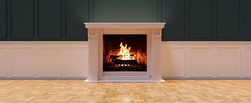 Napoleon Electric Fireplaces Inspection Service in Owatonna, Minnesota
