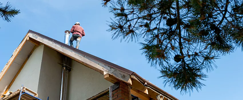 Birds Removal Contractors from Chimney in Owatonna, MN