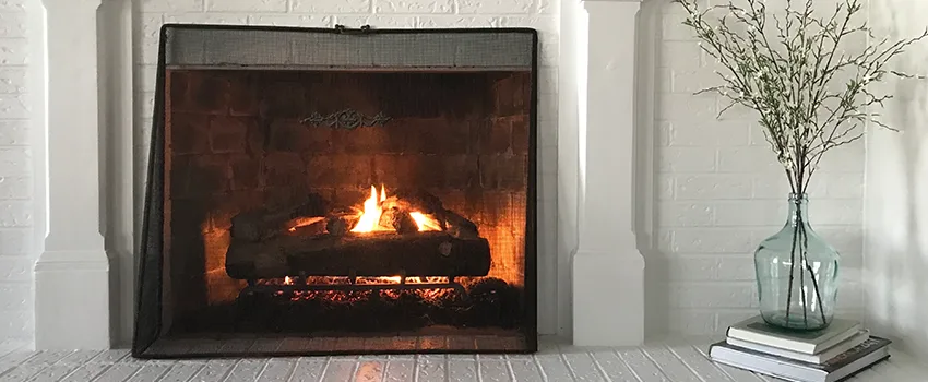 Cost-Effective Fireplace Mantel Inspection And Maintenance in Owatonna, MN