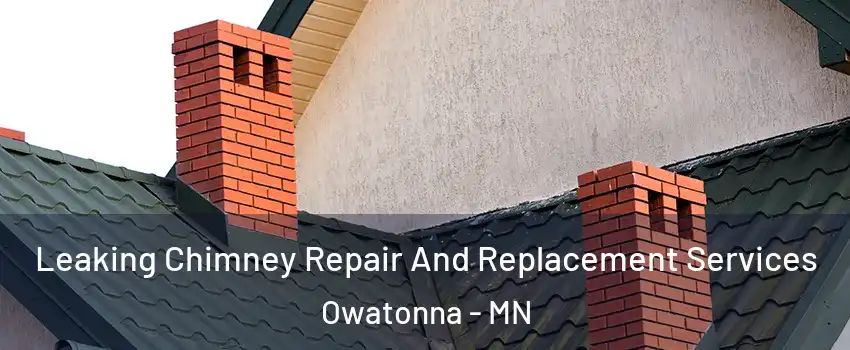  Leaking Chimney Repair And Replacement Services Owatonna - MN