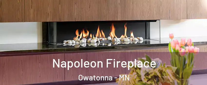  Napoleon Fireplace Owatonna - MN